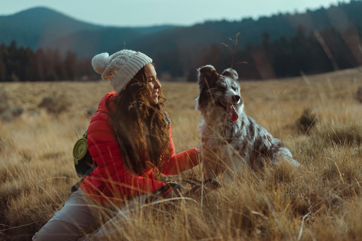 Chien en pleine nature — santé et bien-être en randonnée