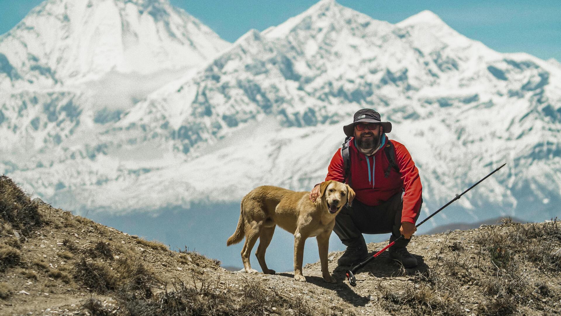 Maître et son chien en randonnée sur un sentier de montagne