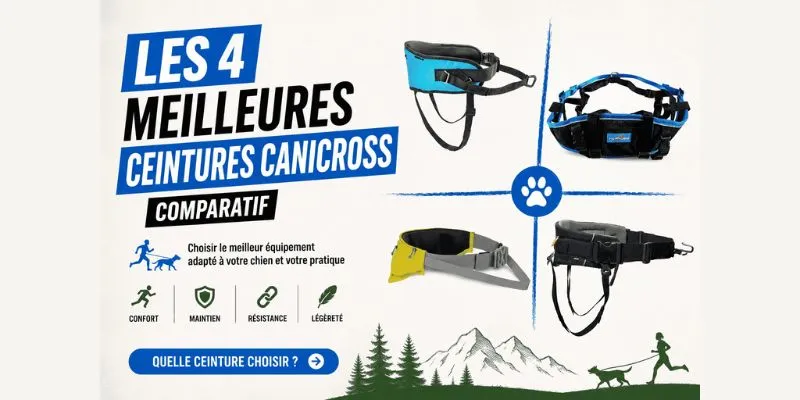 Meilleure ceinture canicross : comparatif 2026