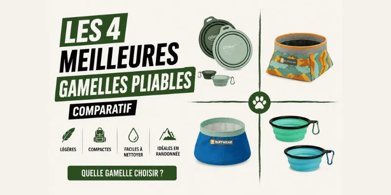 Meilleure gamelle pliable pour chien en randonnée : comparatif 2026