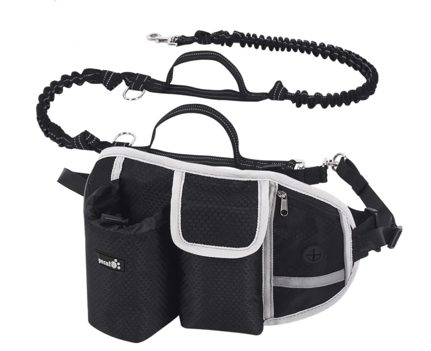 Pecute kit ceinture et laisse mains libres