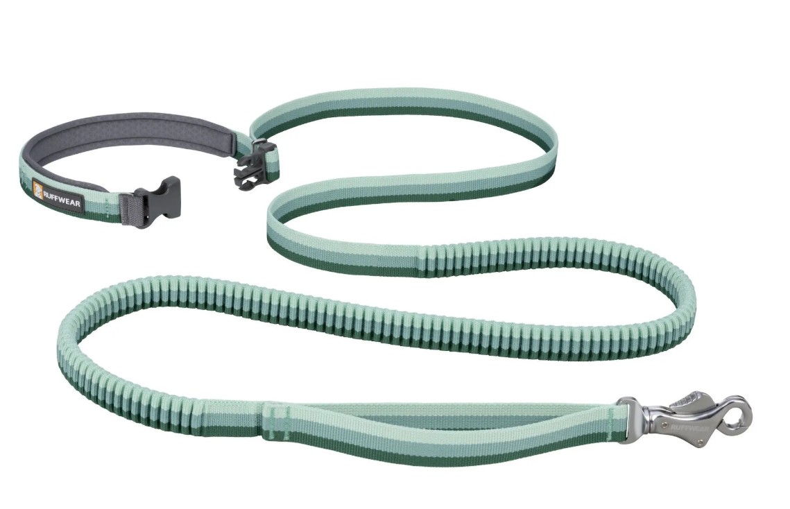 Ruffwear Roamer Leash