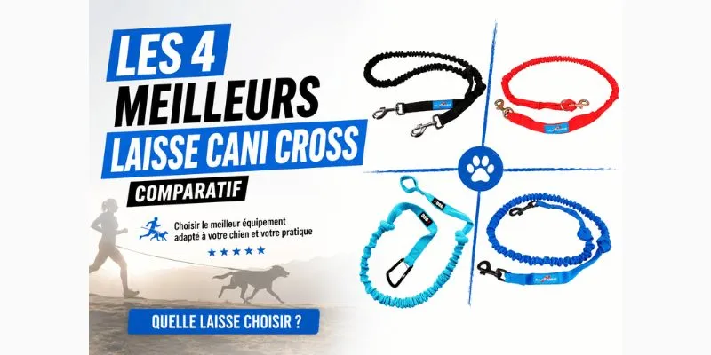 Meilleure laisse canicross : comparatif 2026