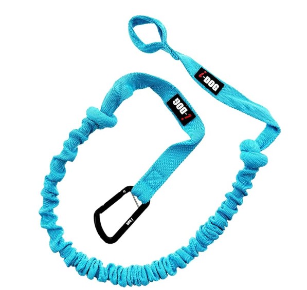 I-Dog ONE