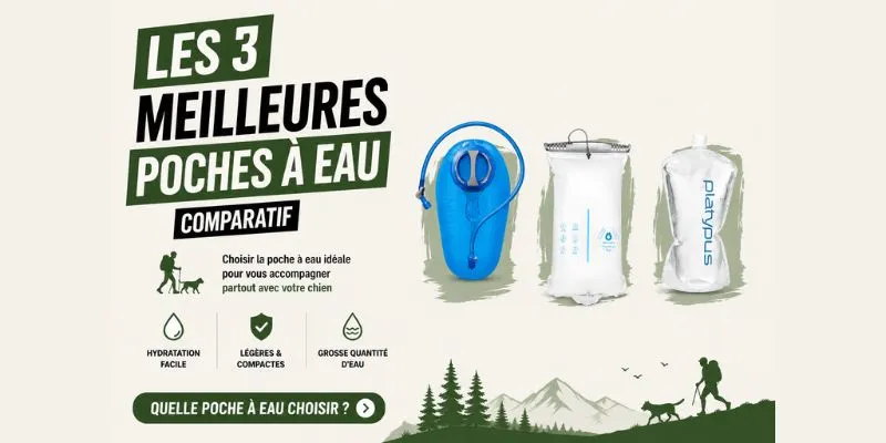 Meilleure poche à eau randonnée : comparatif 2026
