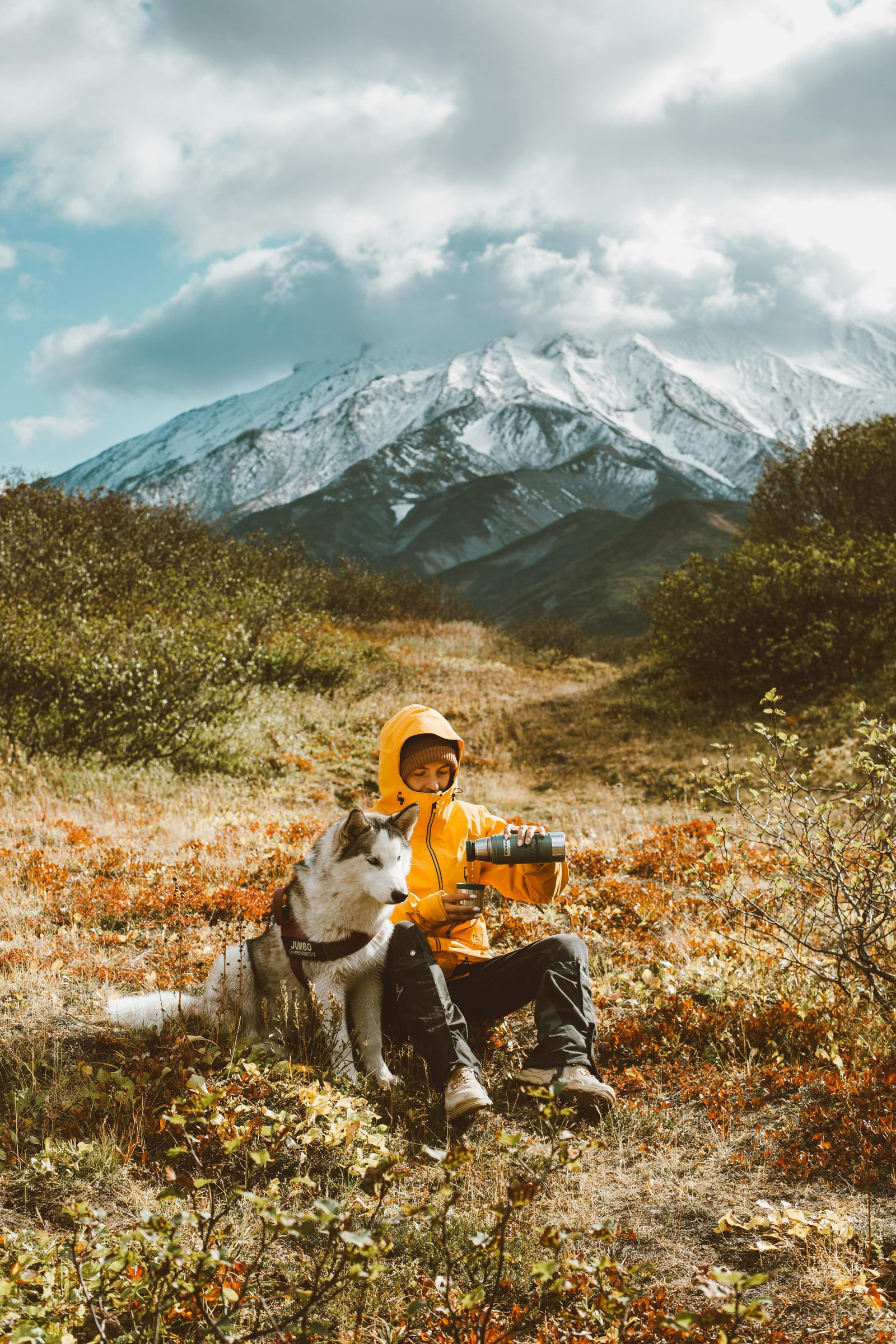Gourde, gamelle ou poche à eau : comment hydrater son chien en randonnée ?