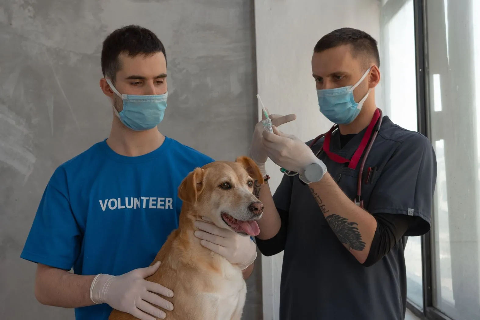 Faut-il des vaccins supplémentaires pour randonner avec son chien ?