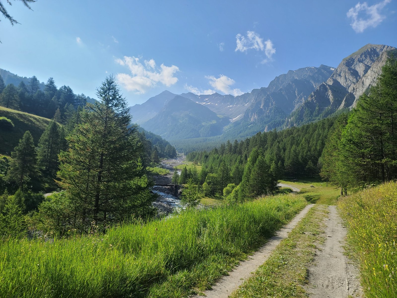 Paysage de randonnée — préparer sa sortie avec son chien en toute sécurité
